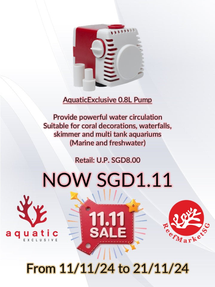 AQUATICEXCLUSIVE 0.8L Pump