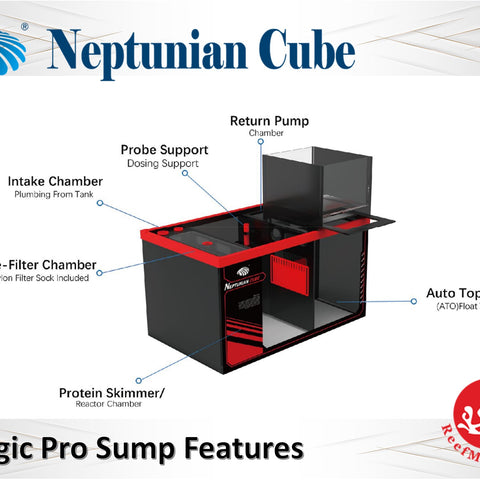 NEPTUNIAN CUBE Magic Pro M-PRO60