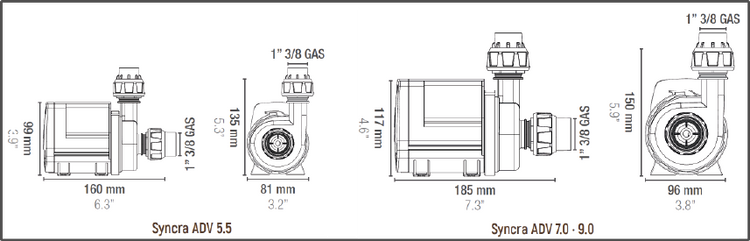 SICCE Syncra ADV 5.5