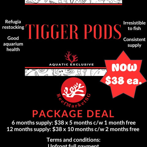 AQUATICEXCLUSIVE Tigger Pods (SUBSCRIPTION AVAILABLE)