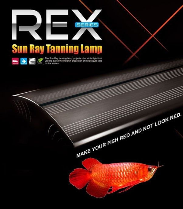 DYMAX REX Series Sun Ray Tanning Lamp (L) 90CM/3FT