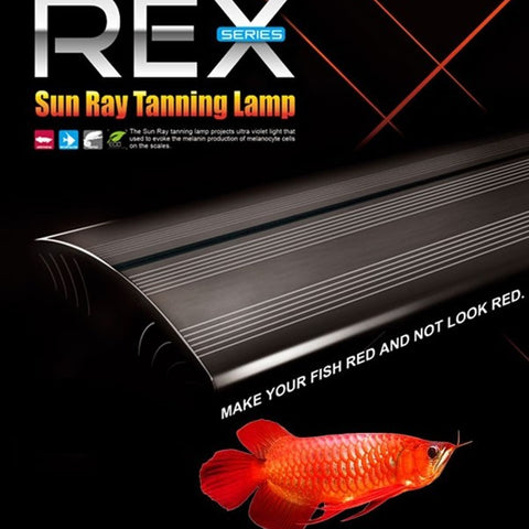 DYMAX REX Series Sun Ray Tanning Lamp (L) 90CM/3FT